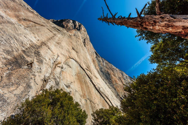 Below El Capitan in Yosemite National Park California