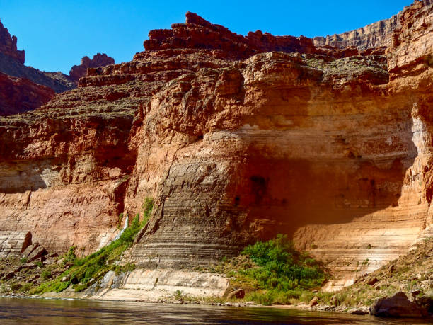 istock Vasey's Paradise Grand Canyon 1209999665
