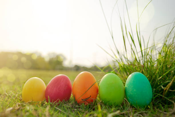 istock Easter eggs in the lawn with warm orange lighting and bokeh. 1209999680