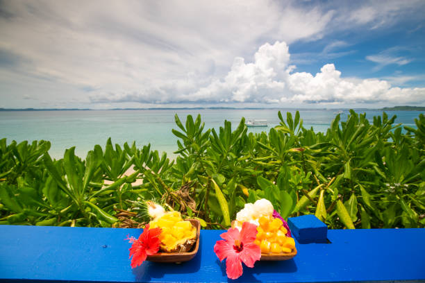 istock Fruit desert with Hibiscus flower displayed by the ocean 1210001183