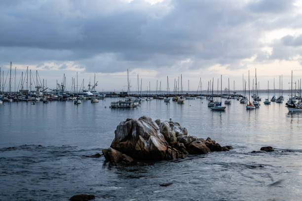 восход солнца со старой рыбацкой пристани - monterey california monterey county cannery row стоковые фото и изображения