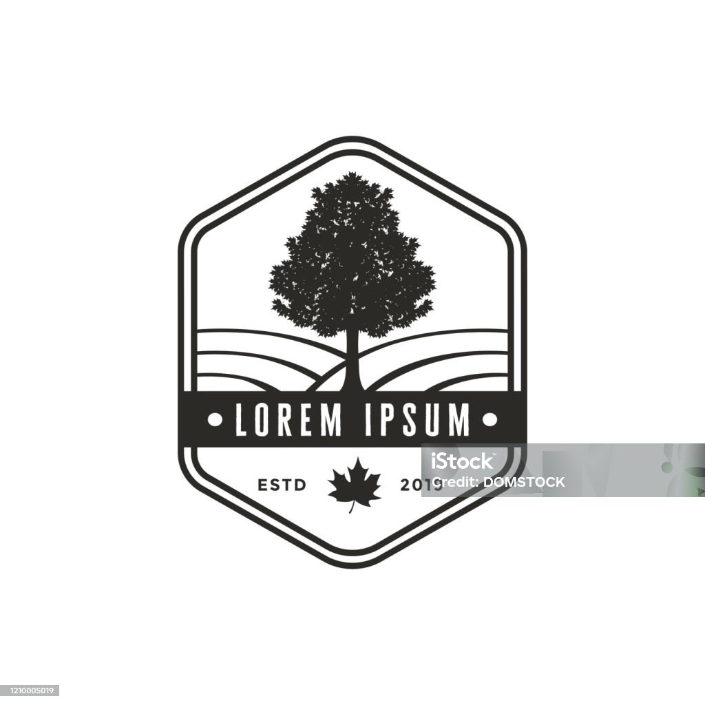 vintage emblem maple tree vector icon Maple Syrup stock vector