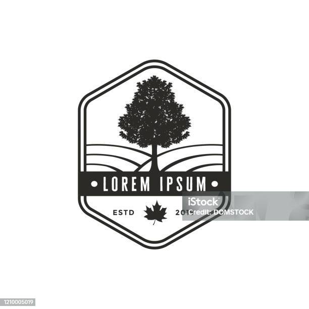 Vintage Emblem Maple Tree Vector Icon Stock Illustration - Download Image Now - Maple Syrup, Logo, Badge