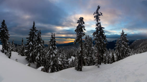 istock Canadian Nature Landscape covered in fresh white Snow 1210006293