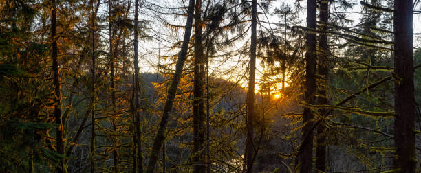 istock Beautiful Canadian Nature 1210007352