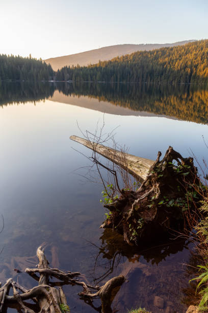 istock Beautiful Canadian Nature 1210007368