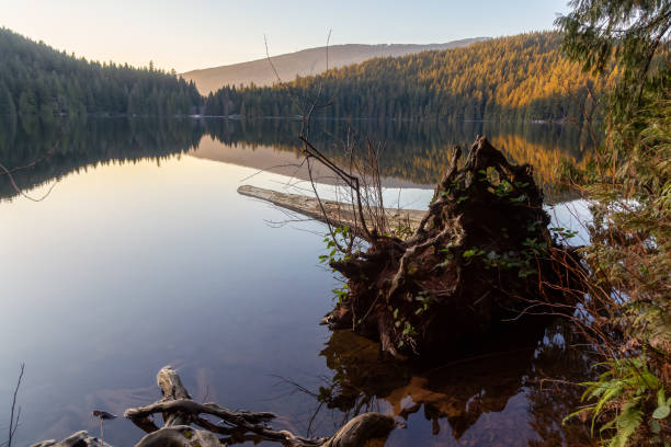istock Beautiful Canadian Nature 1210007370