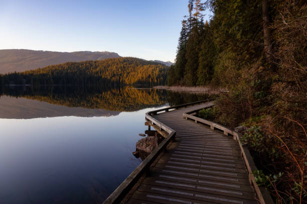 istock Beautiful Canadian Nature 1210007384