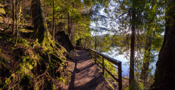istock Beautiful Canadian Nature 1210007529