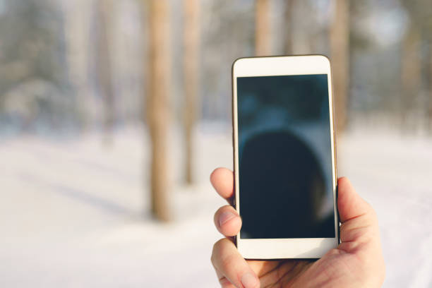 istock smartphone in hand in the woods 1210007556