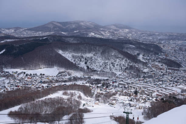 istock Otaru city view from Tenguyama mountain during winter. 1210010972