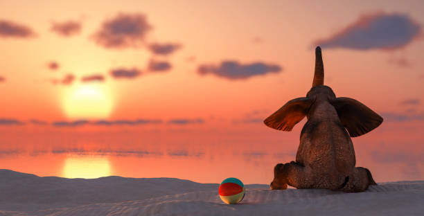 istock elephant sitting on the beach watching or the sunset 1210018434