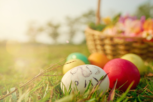 Easter eggs in the lawn with the rabbit-shaped eggs of a little girl