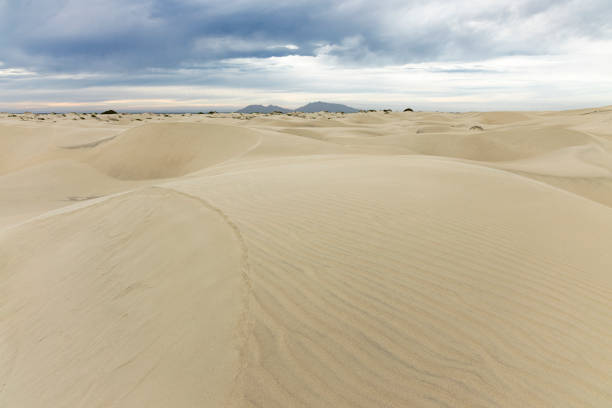 Sand dunes on Magdalena Island near Sand dollar beach