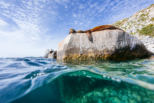 Cabo Pulmo National Park is a national marine park on the east coast of Mexico's Baja California Peninsula