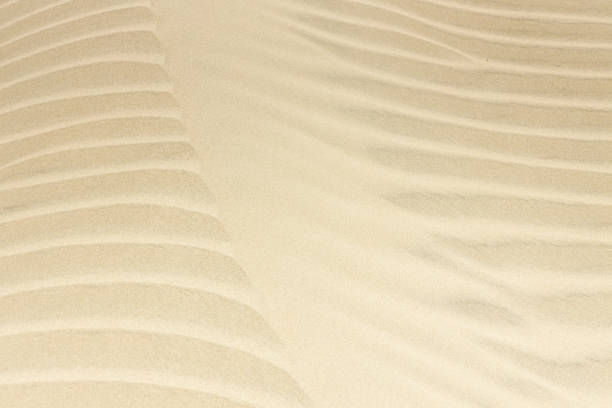 Sand dunes on Magdalena Island near Sand dollar beach