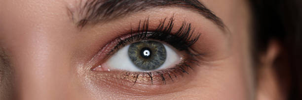 istock Amazing female green and grey coloured eye 1210022130