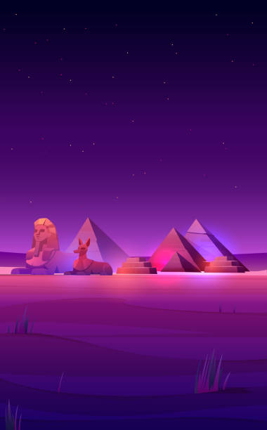 이집트 의 밤 사막 피라미드, 스핑크스와 아누비스 - sphinx night pyramid cairo stock illustrations