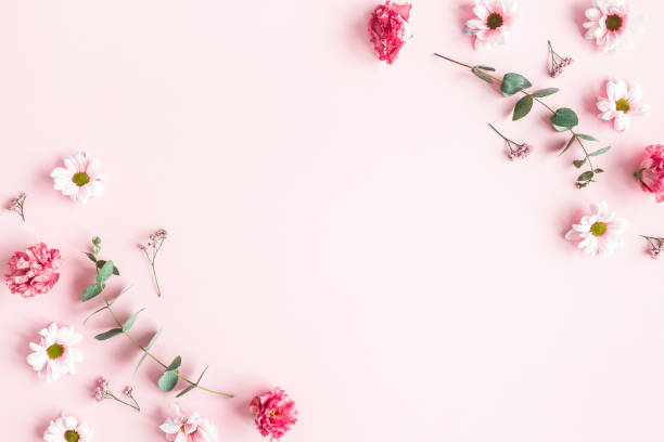 istock Flowers composition. Pink flowers and eucalyptus branches on pink background. Valentines day, mothers day, womens day concept. Flat lay, top view 1210026882