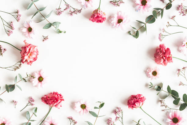 istock Flowers composition. Frame made of pink flowers and eucalyptus branches on white background. Valentines day, mothers day, womens day concept. Flat lay, top view 1210026952