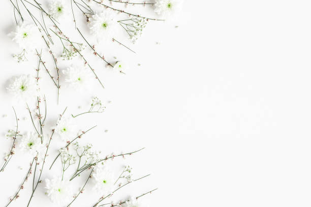 istock Flowers composition. White flowers on white background. Spring concept. Flat lay, top view, copy space 1210026961