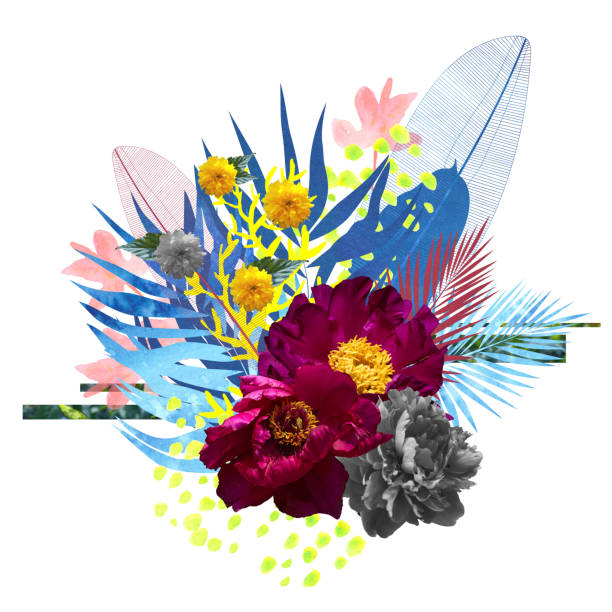 ilustrações de stock, clip art, desenhos animados e ícones de abstract floral collage with magenta peonies and tropical leaves - composite flower