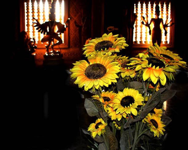 istock Sunflowers 1 in the Buddhist Temple Phnom Reap Monastery 1210031739