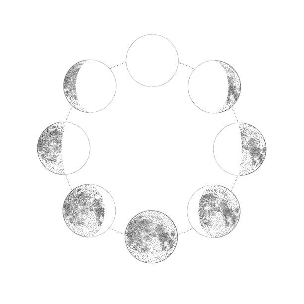ilustraciones, imágenes clip art, dibujos animados e iconos de stock de fases de la luna, ilustración vectorial dibujada a mano monocroma - luna creciente