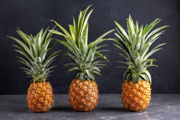 istock Three whole fresh ripe pineapples  in a row on dark background. 1210038605
