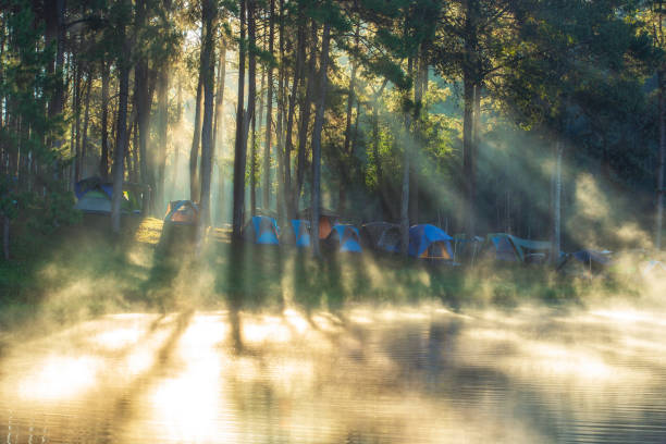 istock Morning sunrise over stream and pine tree camping in lake. 1210038935