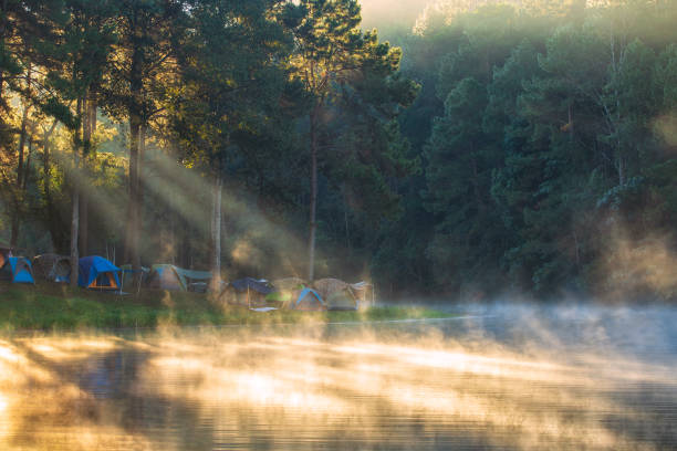 istock Morning sunrise over stream and pine tree camping in lake. 1210038936