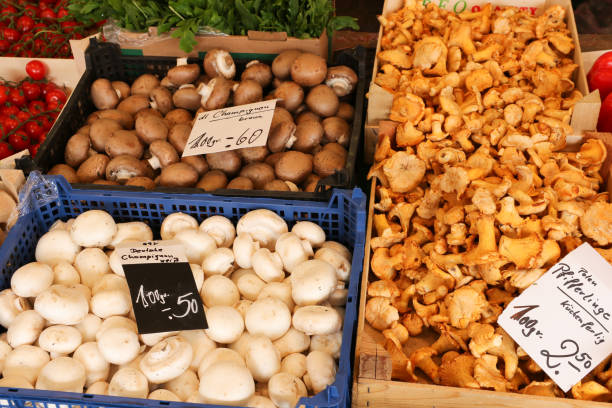 fresh mushrooms at the local market