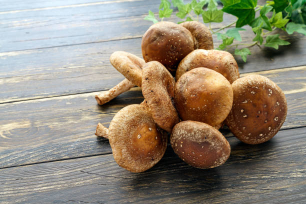 istock Shiitake mushroom on wooden table 1210040592