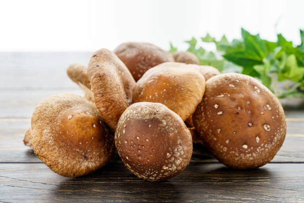 istock Shiitake mushroom on wooden table 1210040596