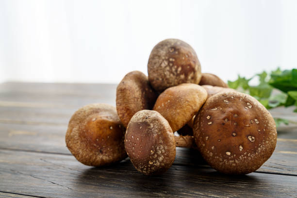 istock Shiitake mushroom on wooden table 1210040610