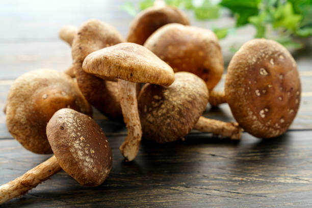 istock Shiitake mushroom on wooden table 1210040625