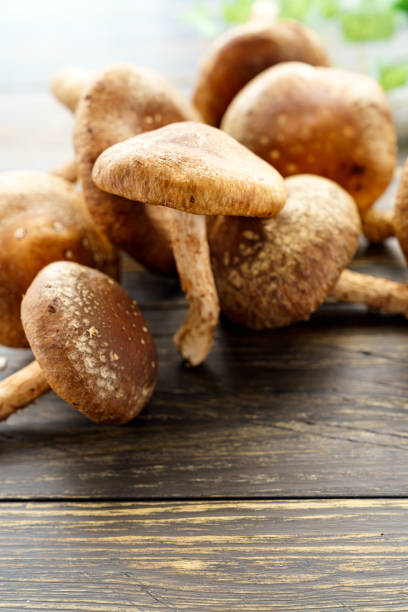 istock Shiitake mushroom on wooden table 1210040639