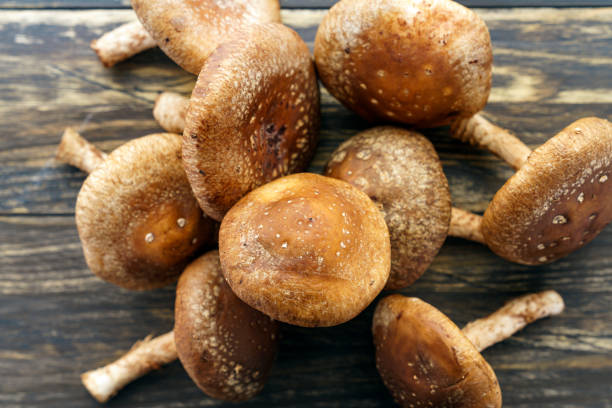 istock Shiitake mushroom on wooden table 1210040646