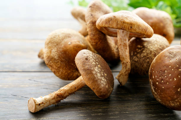 seta shiitake sobre mesa de madera - edible mushroom plants raw food nature fotografías e imágenes de stock