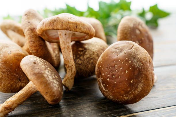 istock Shiitake mushroom on wooden table 1210040664