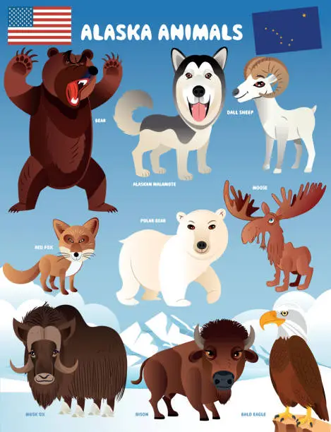 Vector illustration of Animals living in Alaska