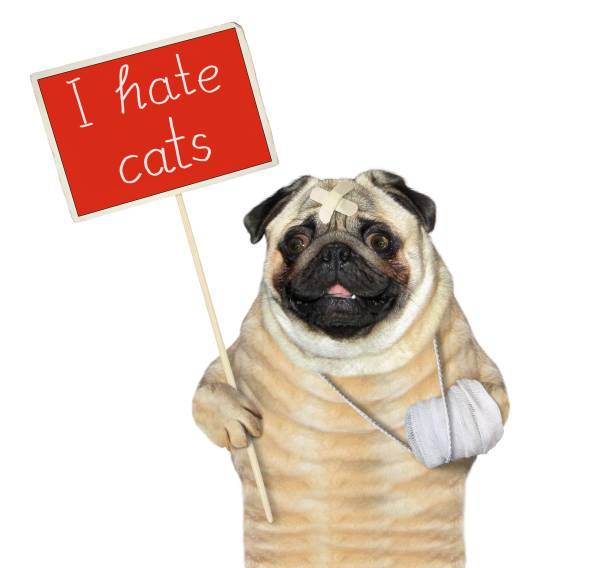 istock Dog holds red protest sign 2 1210044973