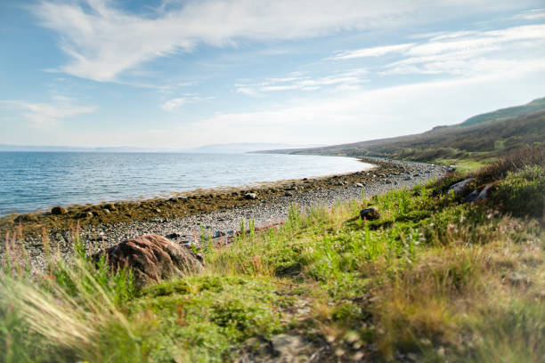 Coast with a rocky hills covered with grass and small trees in the arctic tundra