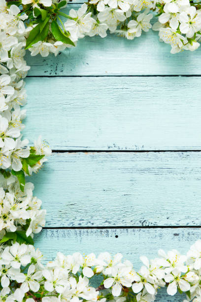 istock Cherry blossom frame on blue wooden table, top view 1210049492