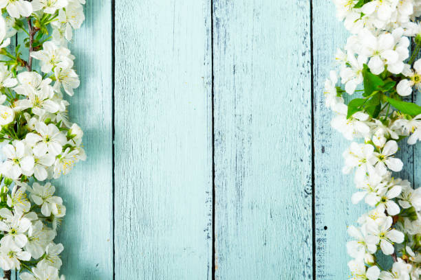 istock Cherry blossom frame on blue wooden table, top view 1210049507