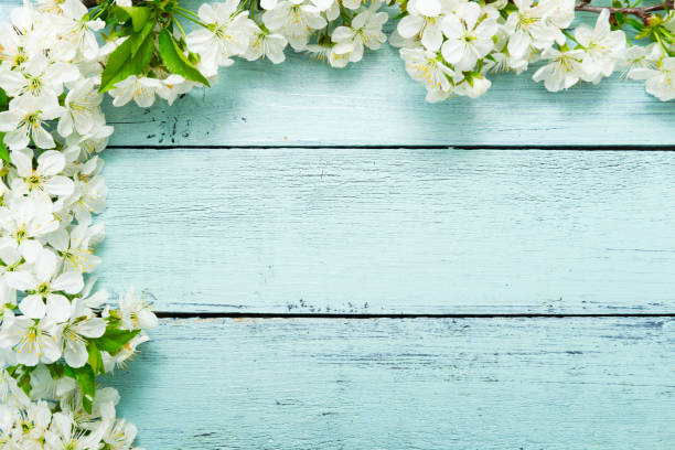 istock Cherry blossom frame on blue wooden table, top view 1210049564