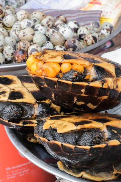 istock exotic fried turtle street food 1210051136