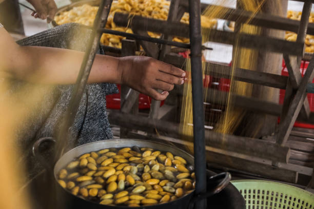 hand spinning raw silk hand spinning raw silk threads of simmering silk cocoons cambodia food stock pictures, royalty-free photos & images