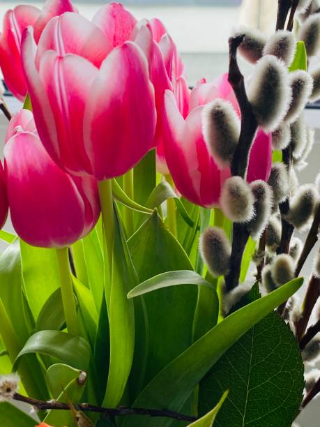 istock Red tulips and pussy willows 1210053119