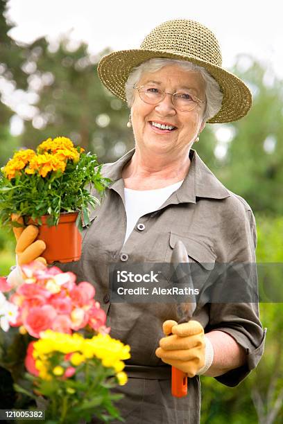 원예용 여자 노인 가정 생활에 대한 스톡 사진 및 기타 이미지 - 가정 생활, 건강한 생활방식, 꽃-식물